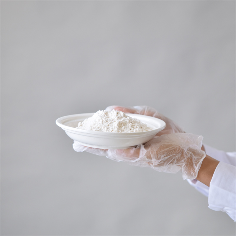 Kripë dinatriumi adenozine 5â-trifosfat CAS 987-65-5